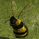 DaxArya's Avatar