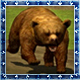 podgie_bear's Avatar