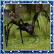 Arachnella's Avatar