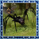 Avatar de Arachnella